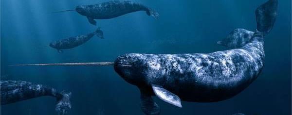 文玩|亲，想吃免费“牢饭”吗？这7种文玩可以帮你，只要购买一种就行