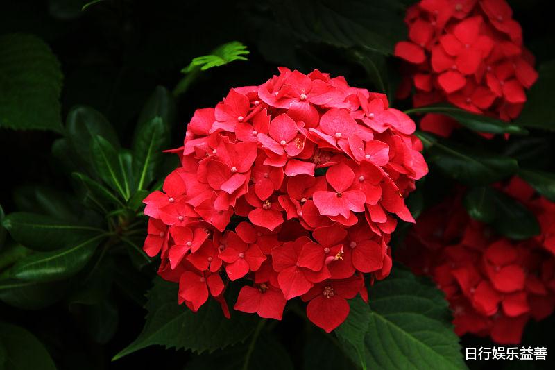 金牛座|有的人天生很有实力，加上有坚定的信念，早晚会成功的三大星座