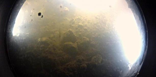外星世界?地球最神秘的地方之一:南极冰下湖,里面都有什么?