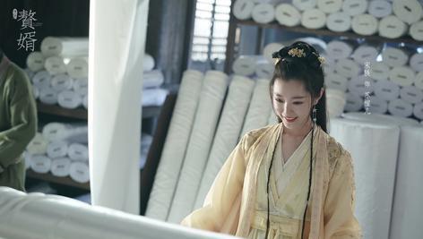 赘婿|古装剧《赘婿》全员美女！9位古装女神，除了女主宋轶，众女配的颜值也高得吓人