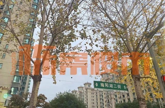 海口|于洪新城河滩地又有动静了？没那么简单