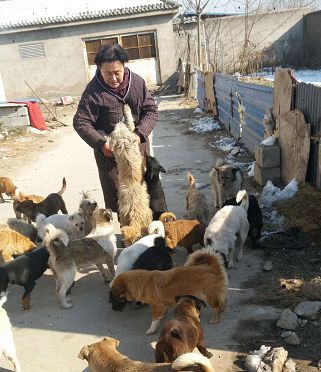 一条溜溜溜的咸鱼 去打一个颤抖全身是伤的流浪狗，你不觉得惭愧吗？