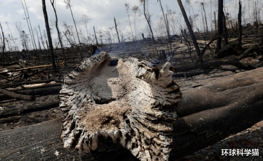 太空 地球有哪些禁区，亚马逊雨林被称为人类禁区，为什么不敢去？