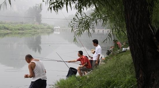 水库|为何“泥鳅钓”犯众怒?被抓后要刑拘?一天能钓上千斤,你信吗?
