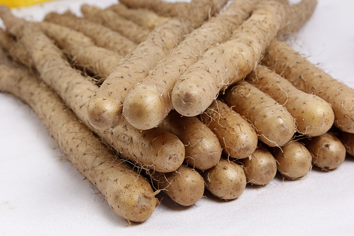 熊猫医学社|胃部“保护伞”已公布，与山药无关，医生：饭后敞开吃，胃或“百病不侵”