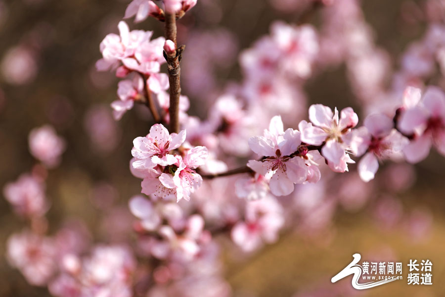 黄河新闻网长治 振兴小镇，你怎么这么好看？