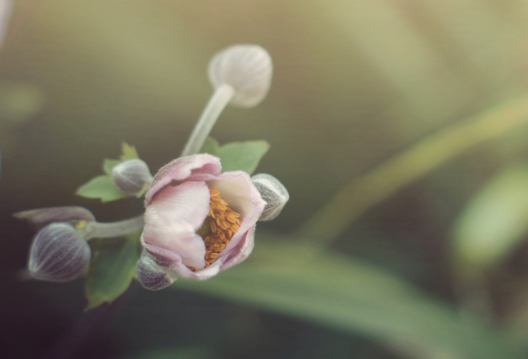 生肖夜读|7月下旬,家有喜事,事业成功,子女孝顺,3生肖不走弯路,存款有增无减