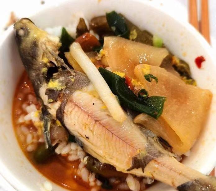 哈儿探店 重庆藏在郊外的一家河鱼馆,每天食客爆棚,开豪车的美女也过来吃