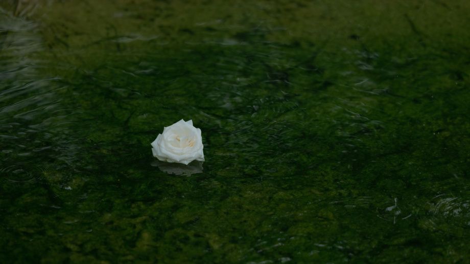 2021东京奥运|烟雨 摄影师 若魔绫