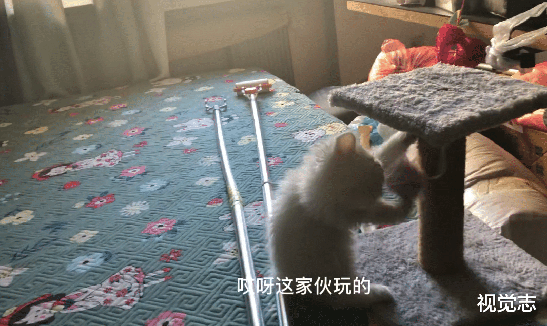 那个“被判死刑”的男人，还在体面活着。