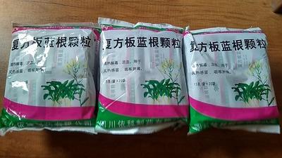 泊庭雪鹭西窗月|在生活中，家庭小药箱里的常备药有什么？