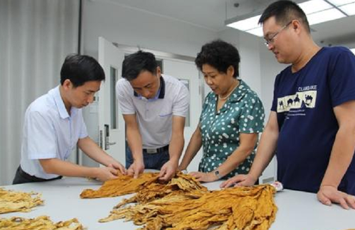 大学|“铁饭碗”排行榜，榜首实至名归，炙手可热的公务员未进前三