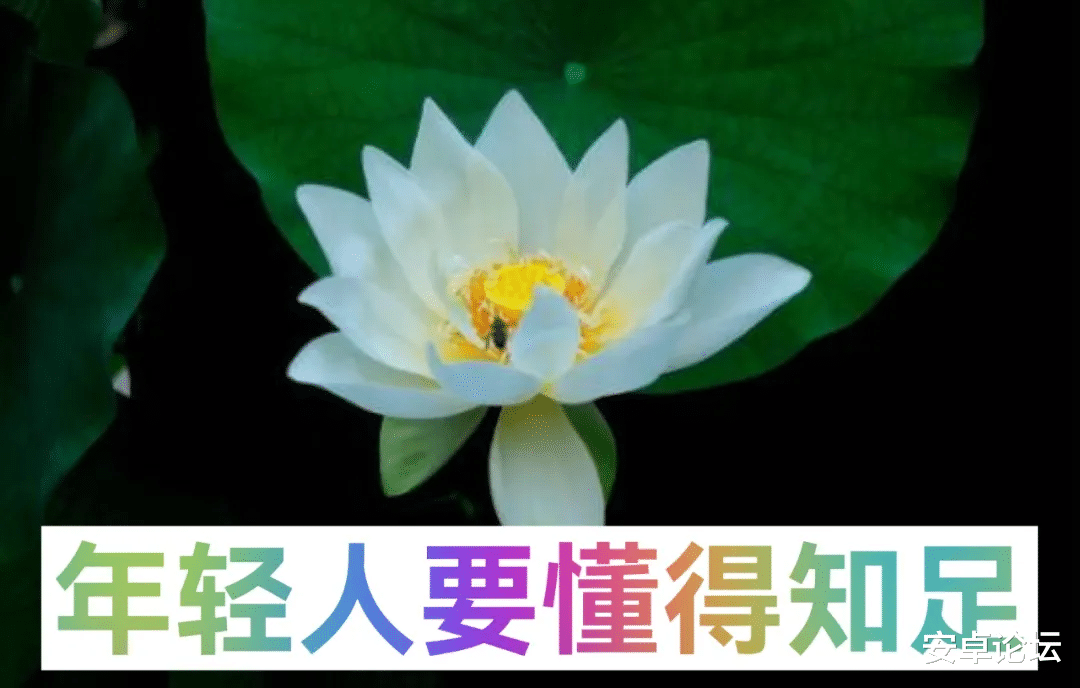 小屏|你们要的小屏旗舰来了!