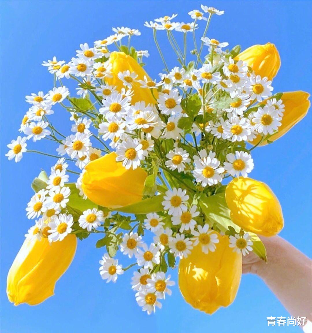 |2021年这几个生肖将会大富大贵，走向人生巅峰