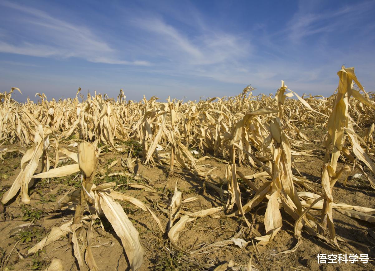 科学家 地球气候崩溃了怎么办？科学家指出：五个国家，或为最后避难所
