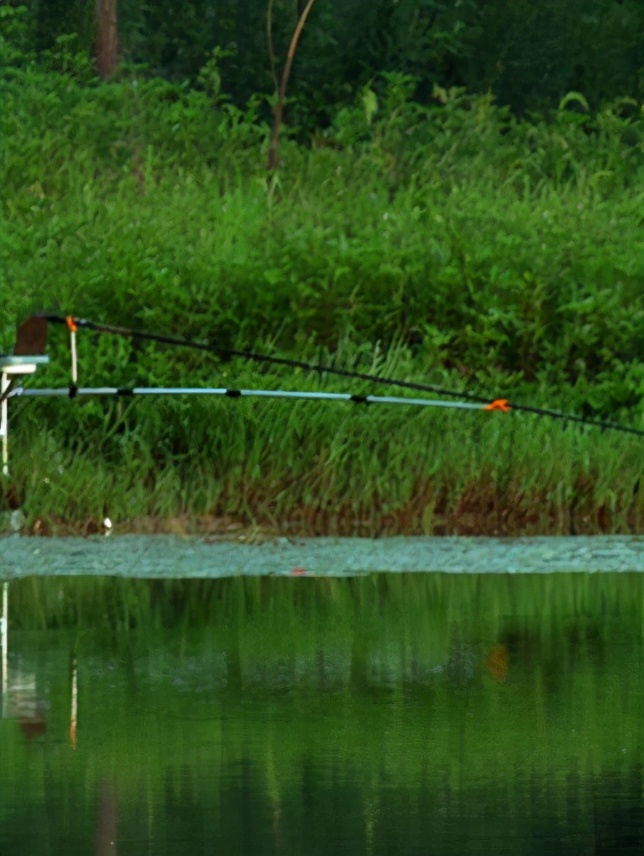 |不会技巧，怎么钓大鱼？学会这几招， 次次钓大鱼——盛世三渔