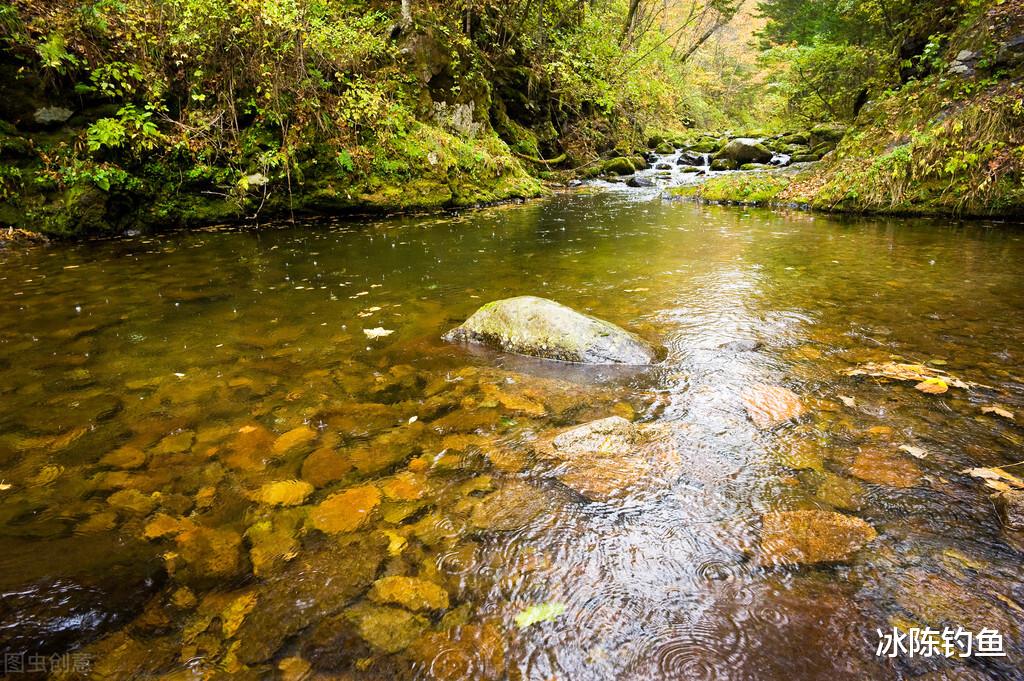 |这3种鱼已经越来越少见，能钓到需要多大的运气？很多人不认识