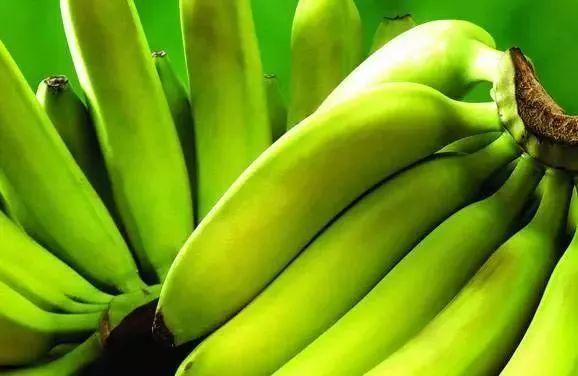 柯金健康|66岁大爷胃炎,养胃半年已正常,医生:2个养胃方法学会或有利