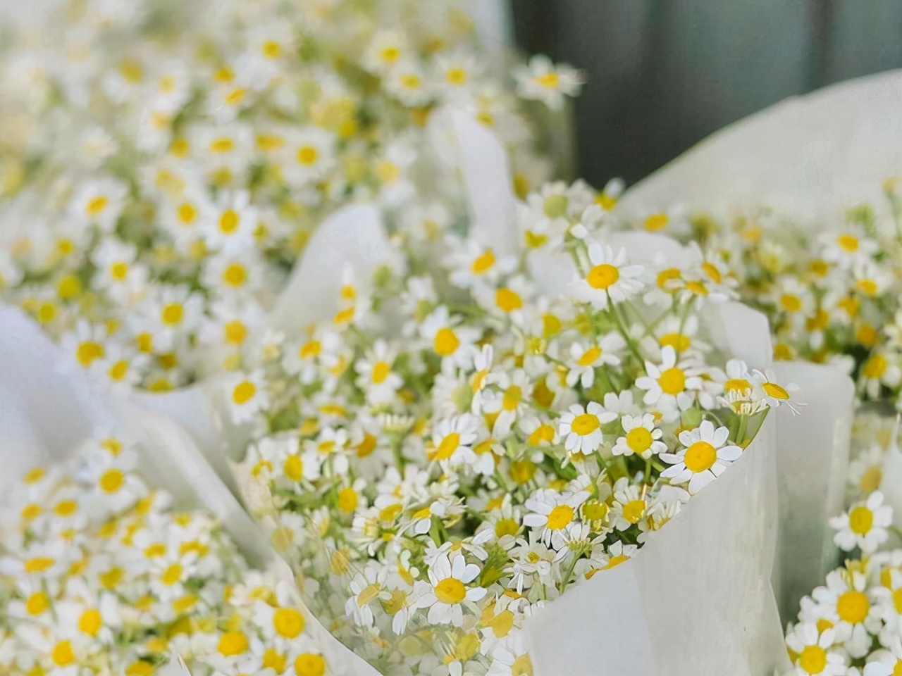 星座师安达 拿得起、放得下,不与傻瓜论长短的星座,不纠结自己的得失