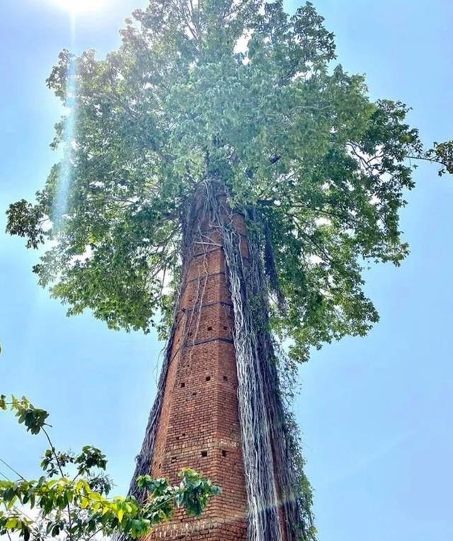  大自然的力量有多大？15张图看清，在自然面前，人类文明太渺小了