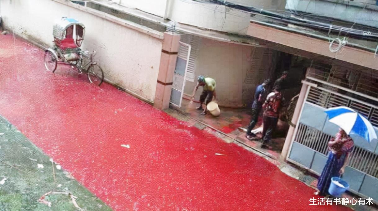 科学家 涨知识,盘点地球八大奇观,突破你的想象