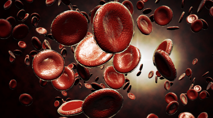 肝纤维化|高血脂是因为馒头吃多了?医生:若想血脂平稳,少吃“2素”