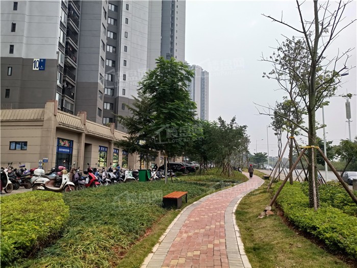 龙岗|实探南宁龙岗西：14个楼盘实景+道路建设，颠覆你的想象！