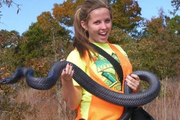 眼镜王蛇 美洲最强森王蛇，还免疫各种毒性？它能否撼动眼镜王蛇的地位？