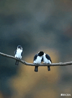 小姐姐|“在河边钓鱼，小姐姐却在旁边练瑜伽，这我哪里还有心思钓鱼？”哈哈哈哈哈