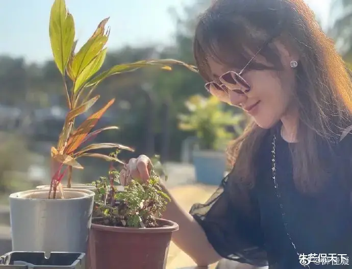 胡歌|消失3个月后，胡歌深夜官宣恋情：这么多年了，我还是忘不了她！