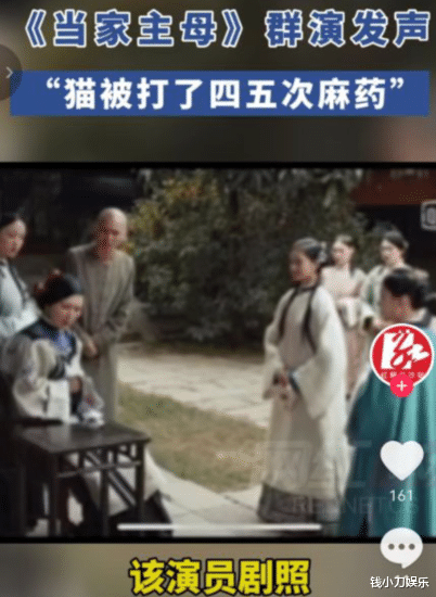当家主母|《当家主母》反转了？群演道歉，称不该无视小猫的精湛演技