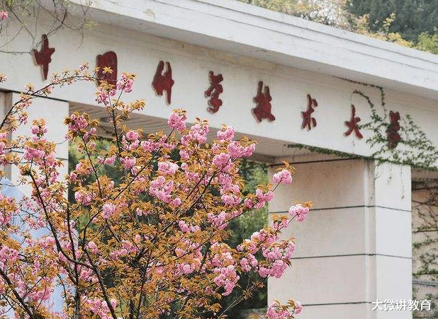 大学|国内大学被分为八个等级，考上第四档就很牛了，前三档都是学霸