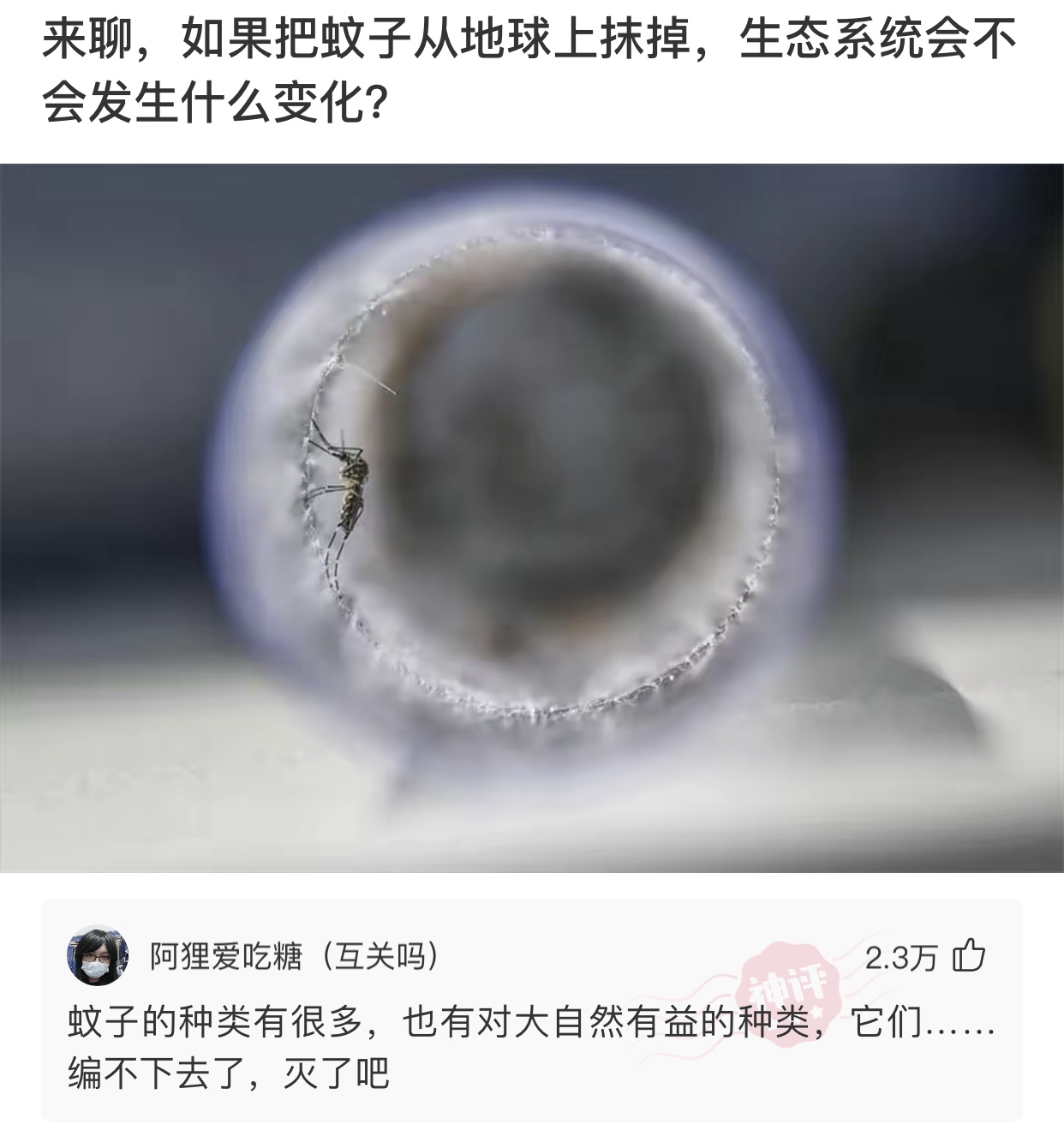 神回复 神回复：如果把蚊子从地球上抹掉，生态系统会不会发生什么变化？
