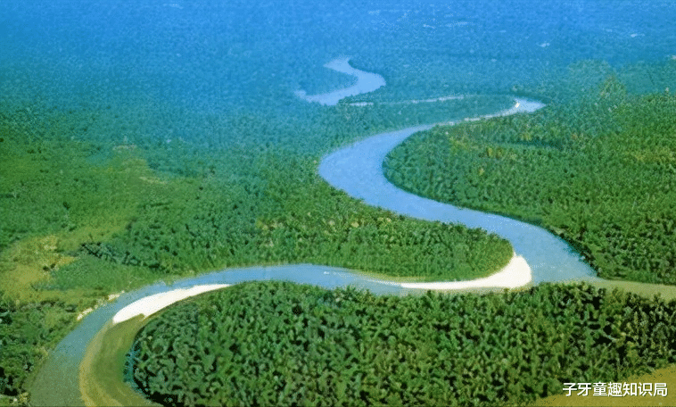 “人类禁区”亚马逊河，捕食者的天堂，亚马逊河究竟有多可怕？