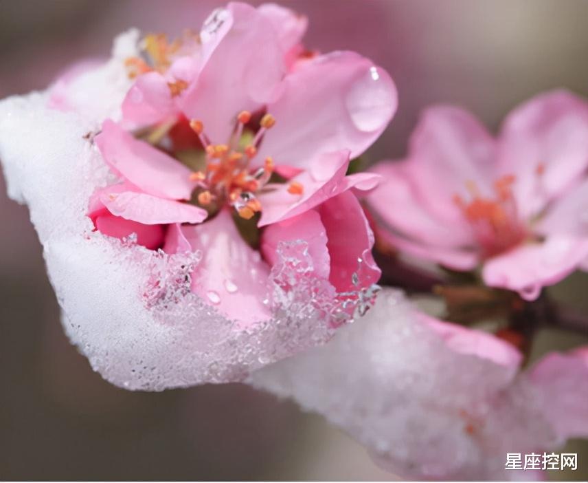 |哪几个月份出生的人，勇闯难关，虽然一路险境，仍能突飞猛进！