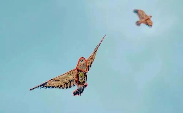 曲江新区 去哪放风筝？一篇解决问题！