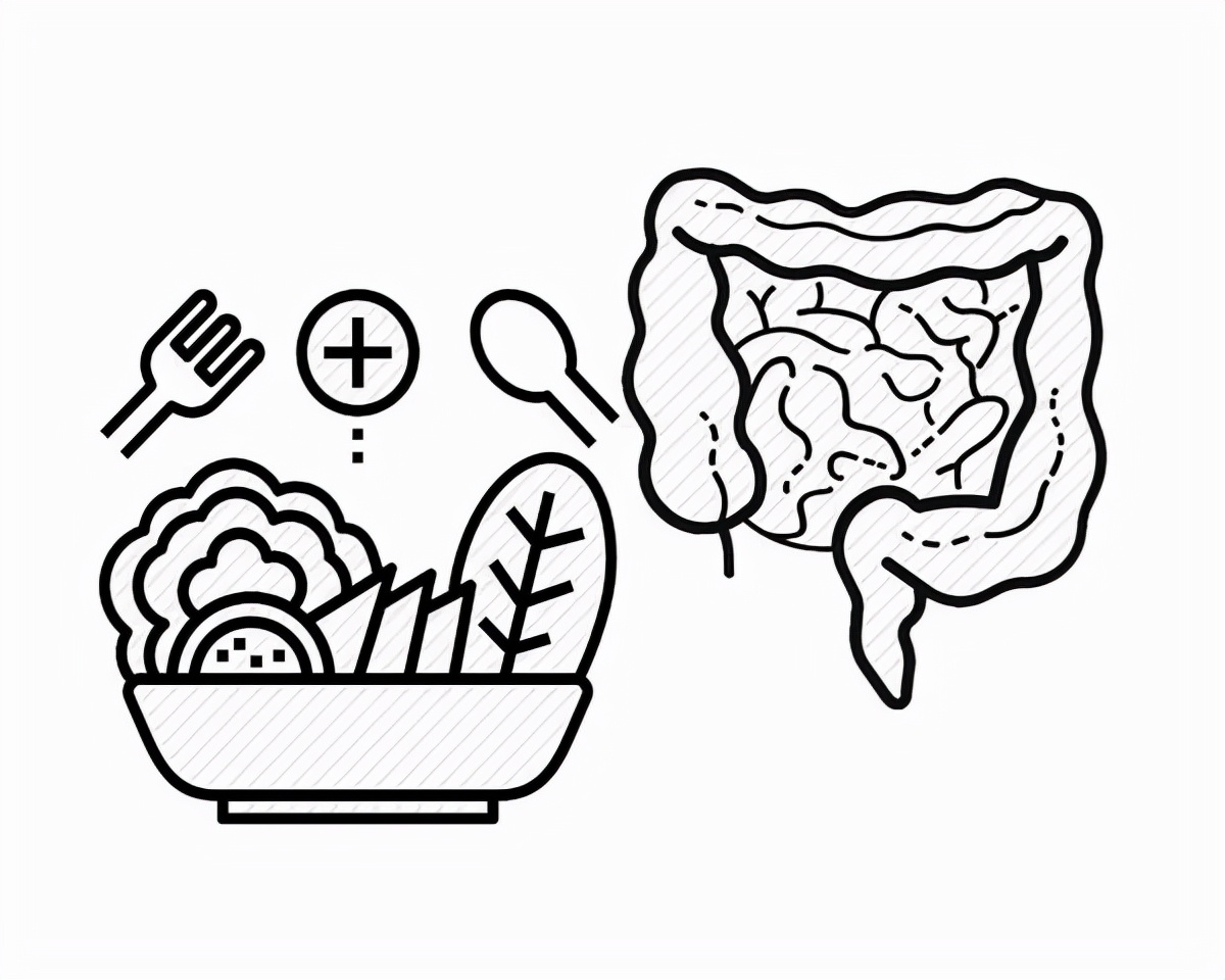 养生 长期食用代餐产品会脱发？依靠节食减肥，小心“惹出”4个问题