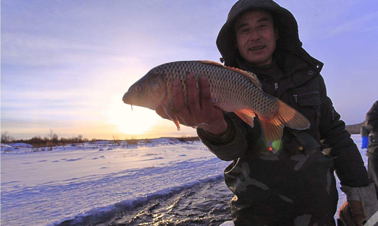 半半歌|学会这三招,三个小时没一口,马上变成每隔三分钟就来一口