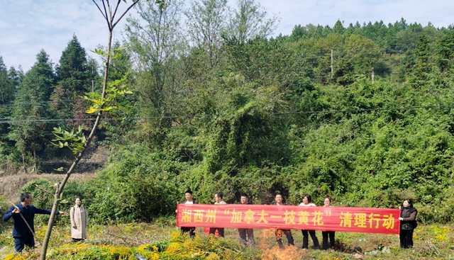 敲骨入髓!武汉“斩草除根令”来袭,“恶魔之花”是何物?有多毒