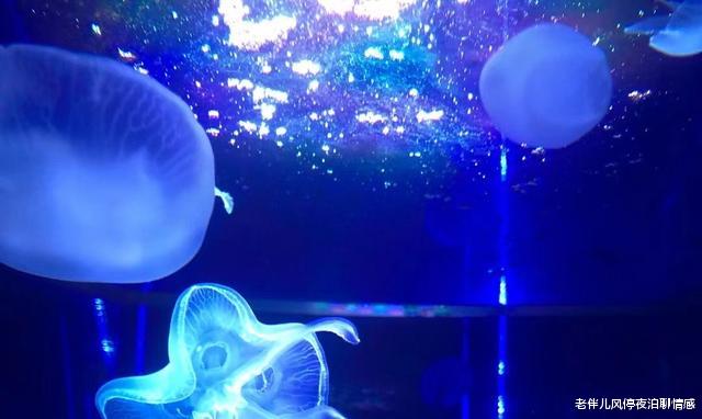 老伴儿风停夜泊聊情感|有福之人，不落无福之地：要幸福？那就这样活