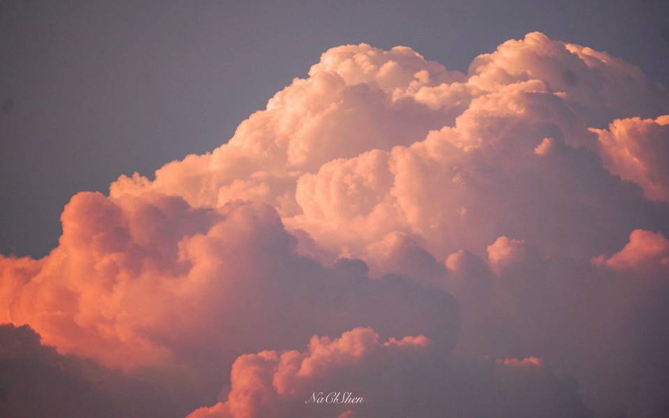 赵名辉塔罗 赵名辉塔罗牌占卜:我下任男友的条件?