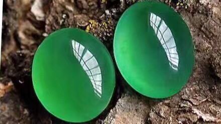 翡翠|聊一聊翡翠戒面