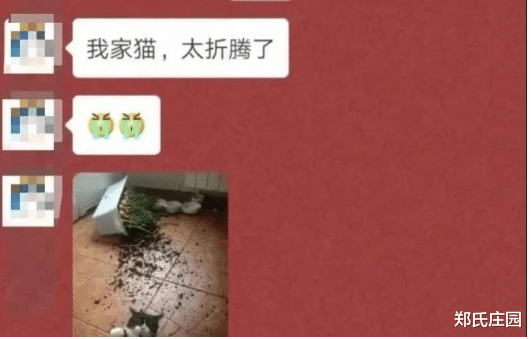 美容养颜|差点就被这笑死了,最搞笑的还是这位大哥,最后那句没眼看实在太形象了