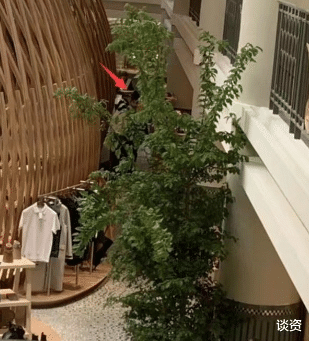 巩俐|55岁巩俐逛奢侈品店，打扮朴素素颜太真实，定居国外变小女人