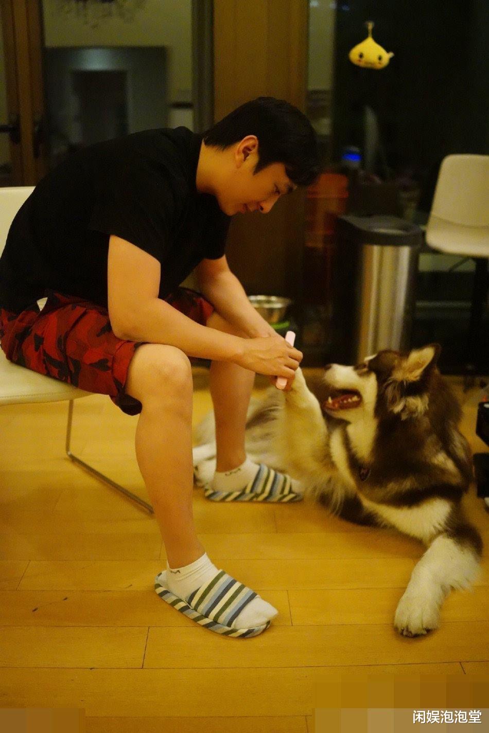 赵子易|“狗保姆”熬走多任女友,人仗狗势的赵子易,和王思聪是啥关系?