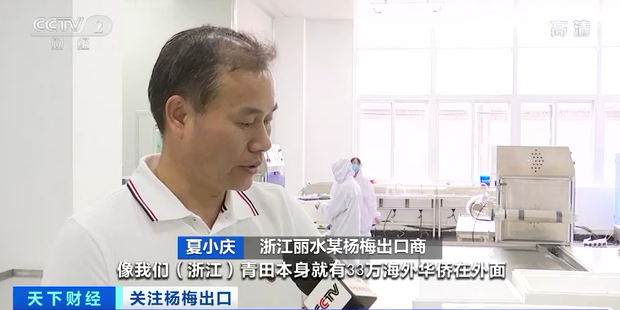 |火了！我们常吃的杨梅，在欧洲一颗售价超10元！