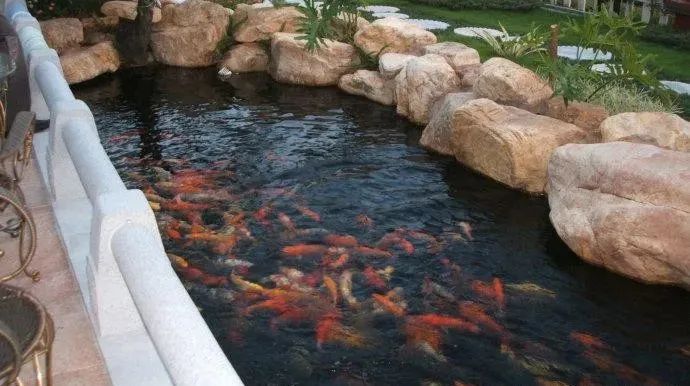 自建房留出一片空地,建一个这样的庭院,拥有小桥流水般的意境!