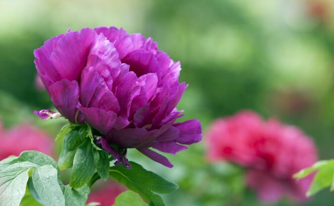 水倾心|儿媳妇父亲生病住院，看婆婆一家人是如何应对？