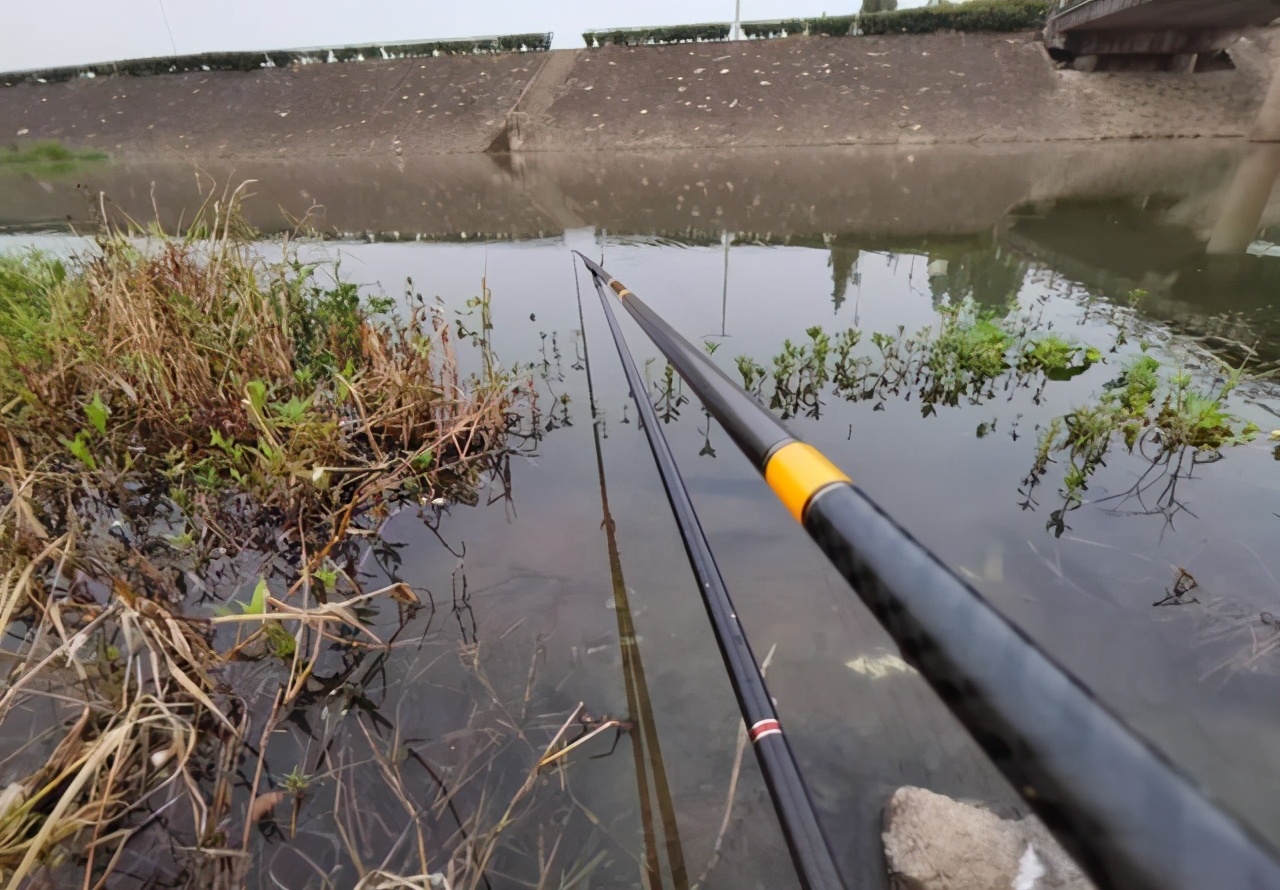 |长竿好还是短竿好？野钓和黑坑不一样，可别选错了