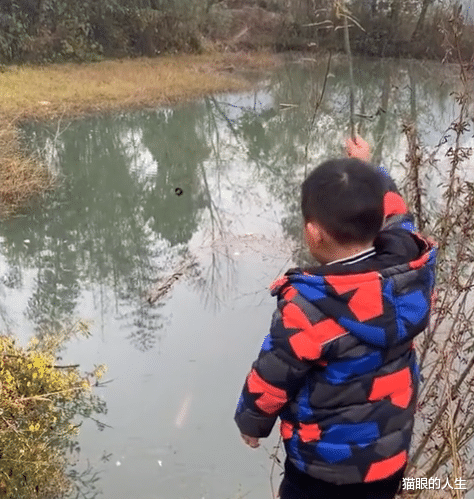 湖北|境界高！湖北一小男孩拿树枝当鱼竿，抛竿不到10秒就钓上大鱼